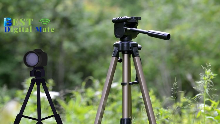 Best Flexible Tripod