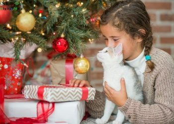 Best Baby Gift