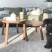 Carpet Removal – Is It Worth It?