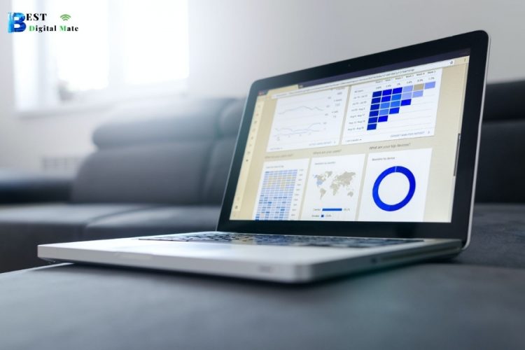 Digital Marketing Campaign
