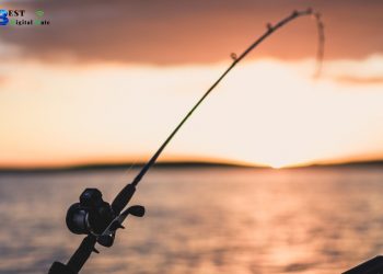 Fishing Rods