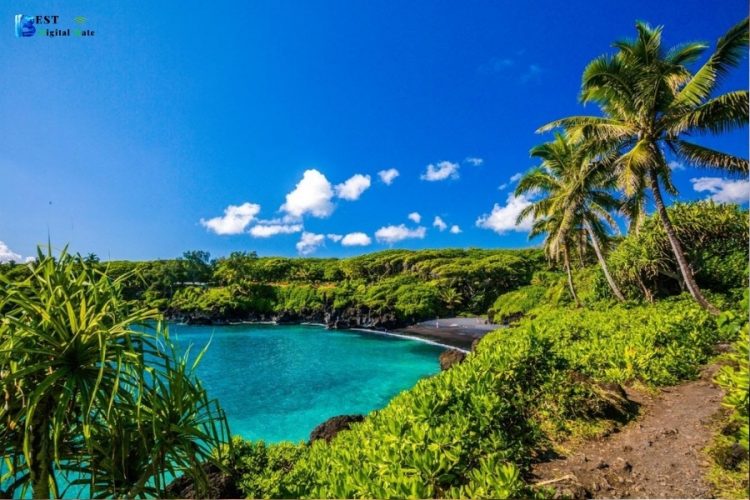 Activities to Try in Maui