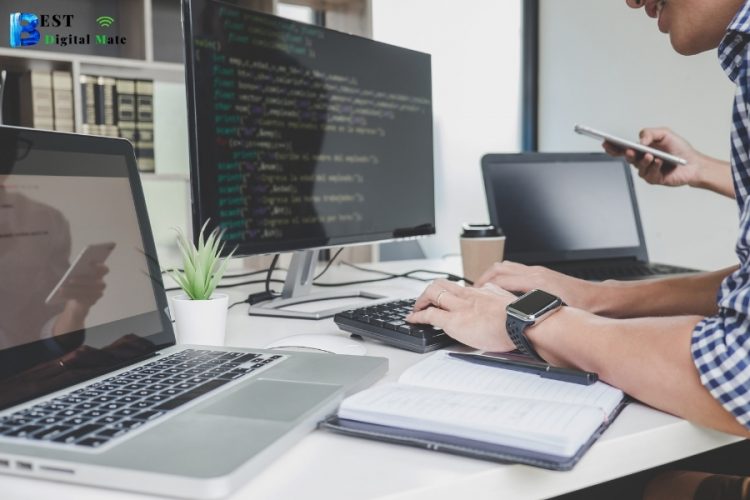 Ecommerce Website development
