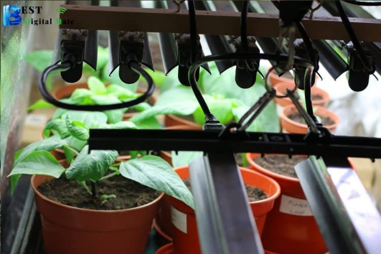 Setting Up Your Grow Room