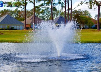 The Benefits of Pond Aeration