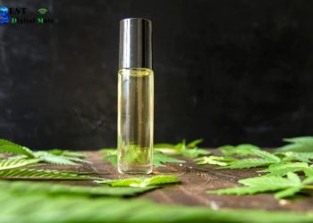 Become a CBD Oil Distributor Today
