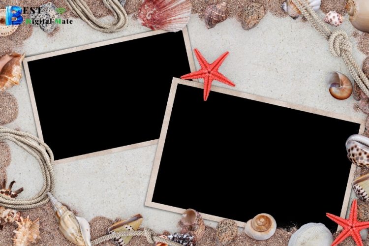 How to Find the Best Photo Card Designer