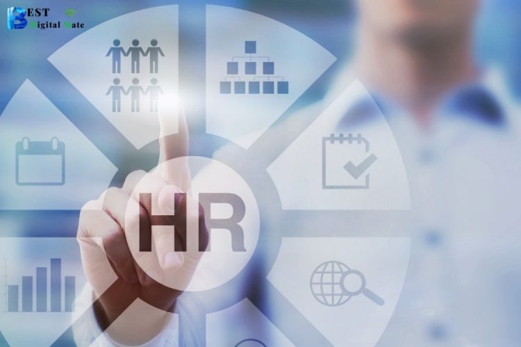 Why HR is Vital for Every Business
