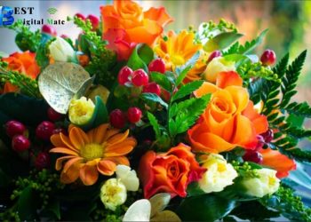 19 Ways to Make a Difference in Someone’s Day