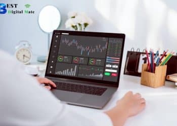 What Are Top Gainers & Losers In The Stock Market, And How Do You Check Top Gainers & Top Losers For Today?