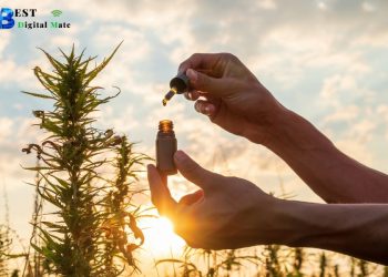 4 Steps to Avoid Getting Ripped Off When You Buy CBD
