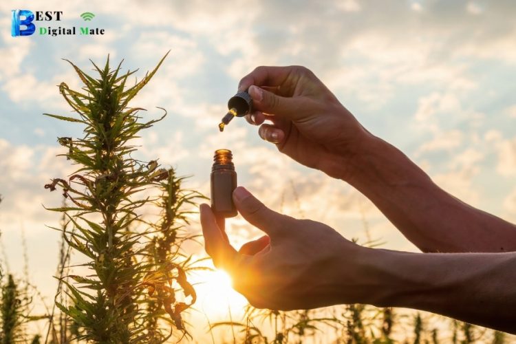 4 Steps to Avoid Getting Ripped Off When You Buy CBD