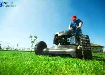 How to Get More Ideas for Your Landscaping or Lawn Care Blog
