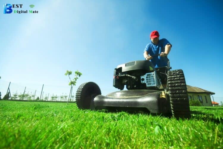 How to Get More Ideas for Your Landscaping or Lawn Care Blog