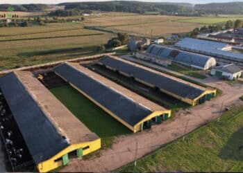 Barn Paints: Preserving the Charm of Agricultural Buildings