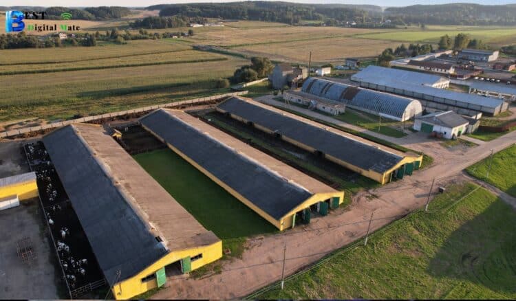Barn Paints: Preserving the Charm of Agricultural Buildings